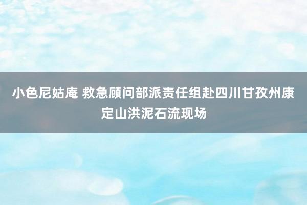 小色尼姑庵 救急顾问部派责任组赴四川甘孜州康定山洪泥石流现场