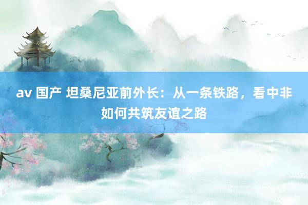 av 国产 坦桑尼亚前外长：从一条铁路，看中非如何共筑友谊之路