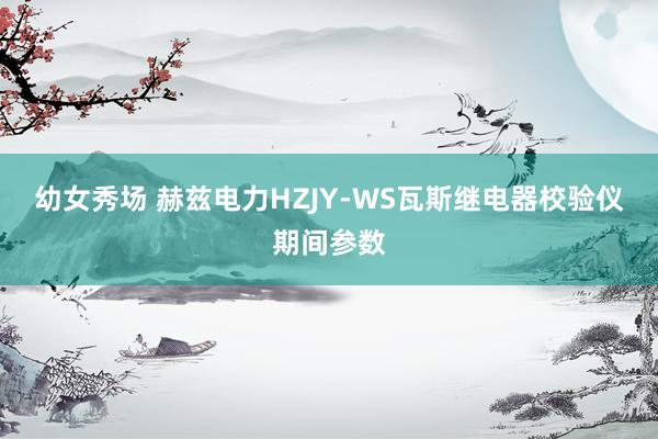 幼女秀场 赫兹电力HZJY-WS瓦斯继电器校验仪期间参数