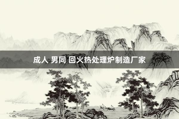 成人 男同 回火热处理炉制造厂家