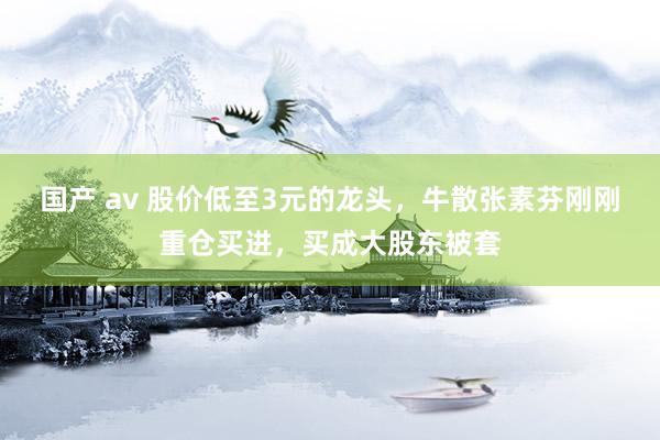 国产 av 股价低至3元的龙头，牛散张素芬刚刚重仓买进，买成大股东被套