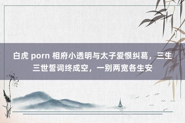 白虎 porn 相府小透明与太子爱恨纠葛，三生三世誓词终成空，一别两宽各生安
