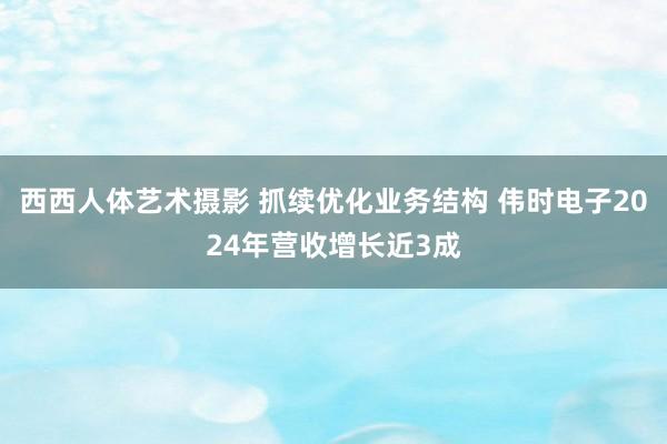 西西人体艺术摄影 抓续优化业务结构 伟时电子2024年营收增长近3成
