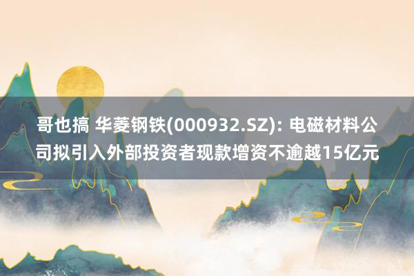 哥也搞 华菱钢铁(000932.SZ): 电磁材料公司拟引入外部投资者现款增资不逾越15亿元