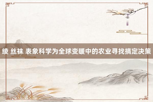 绫 丝袜 表象科学为全球变暖中的农业寻找搞定决策