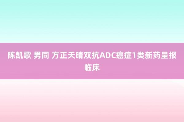 陈凯歌 男同 方正天晴双抗ADC癌症1类新药呈报临床