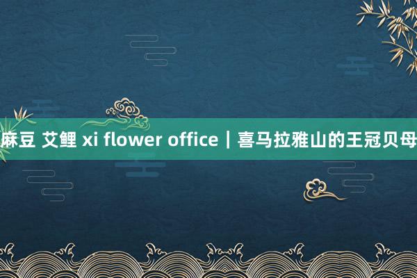 麻豆 艾鲤 xi flower office｜喜马拉雅山的王冠贝母