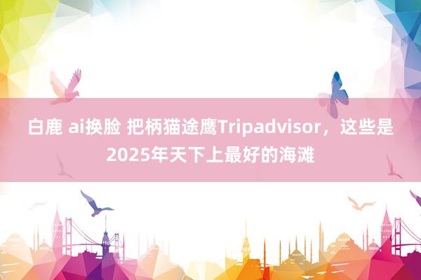 白鹿 ai换脸 把柄猫途鹰Tripadvisor，这些是2025年天下上最好的海滩
