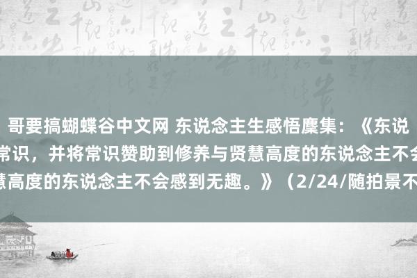 哥要搞蝴蝶谷中文网 东说念主生感悟麇集：《东说念主生中握住学习积聚常识，并将常识赞助到修养与贤慧高度的东说念主不会感到无趣。》（2/24/随拍景不雅）