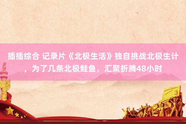 插插综合 记录片《北极生活》独自挑战北极生计，为了几条北极鲑鱼，汇聚折腾48小时