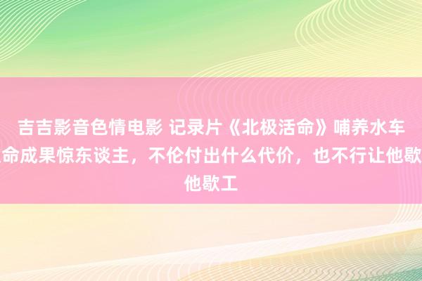 吉吉影音色情电影 记录片《北极活命》哺养水车使命成果惊东谈主，不伦付出什么代价，也不行让他歇工