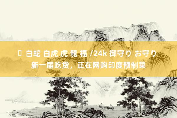 ✨白蛇 白虎 虎 龍 福 /24k 御守り お守り 新一届吃货，正在网购印度预制菜