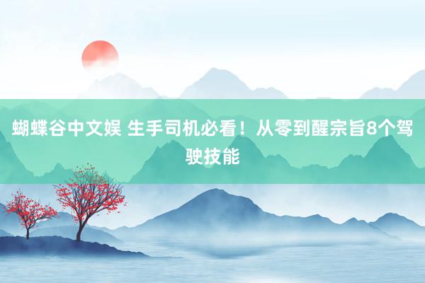 蝴蝶谷中文娱 生手司机必看！从零到醒宗旨8个驾驶技能
