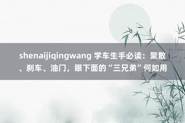 shenaijiqingwang 学车生手必读：聚散、刹车、油门，眼下面的“三兄弟”何如用