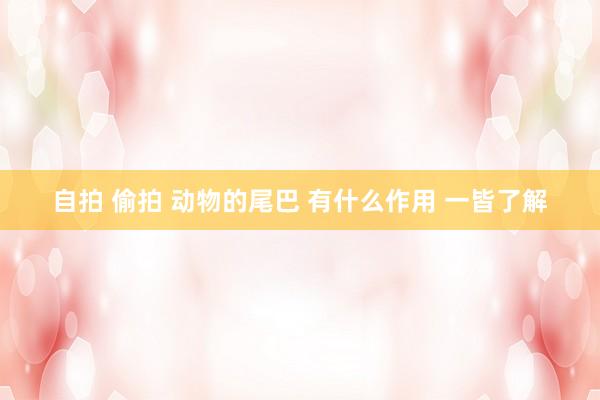 自拍 偷拍 动物的尾巴 有什么作用 一皆了解
